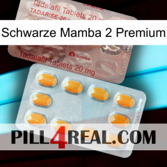 Black Mamba 2 Premium new13